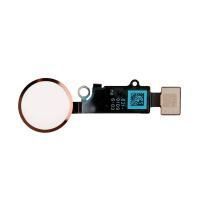 Шлейф Home iPhone для iPhone 8, iPhone 8 Plus, iPhone SE 2020 (золотистый) не работает на нажатие - заглушка{number} | zapchasti-n1.ru